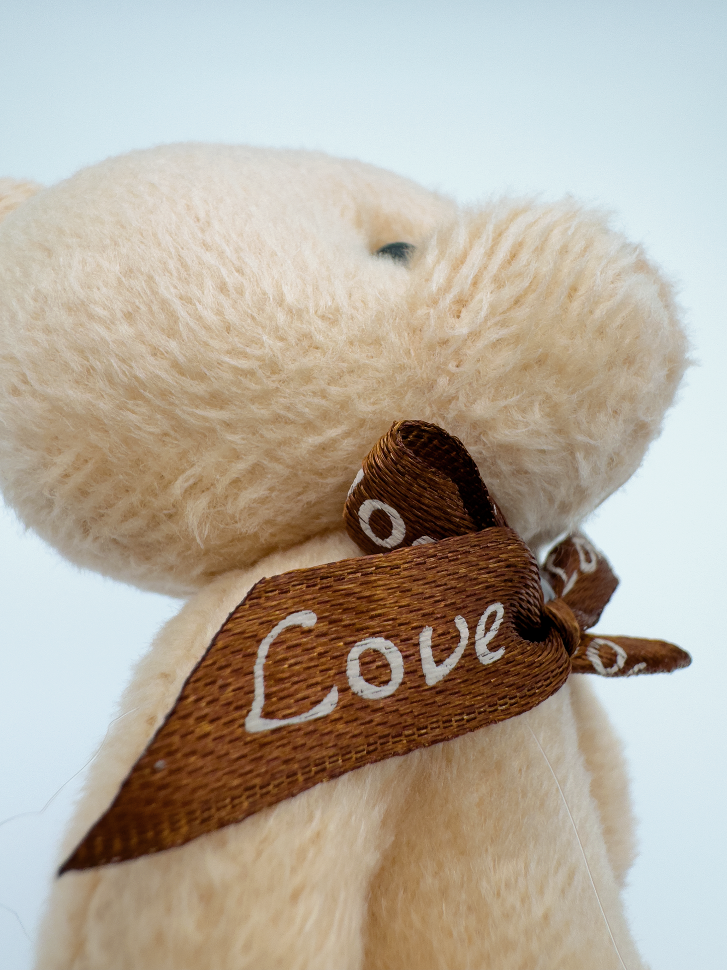 Teddybär